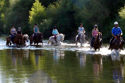 Reiten in Frankreich mit Fil