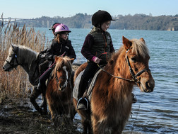 Reitgruppe am Atlantik